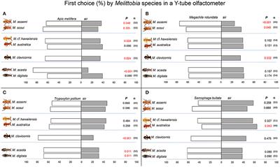 Semiochemical Exploitation of Host-Associated Cues by Seven Melittobia Parasitoid Species: Behavioral and Phylogenetic Implications